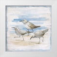 thumbnail image 1 of Nan 20x20 White Modern Wood Framed Museum Art Print Titled - Shore Birds II, 1 of 4