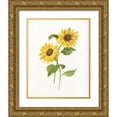 thumbnail image 1 of Nan 20x24 Gold Ornate Wood Framed with Double Matting Museum Art Print Titled - Ochre Botanical III, 1 of 4