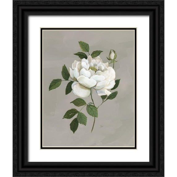 Nan 26x32 Black Ornate Wood Framed with Double Matting Museum Art Print Titled - Botanical Rose
