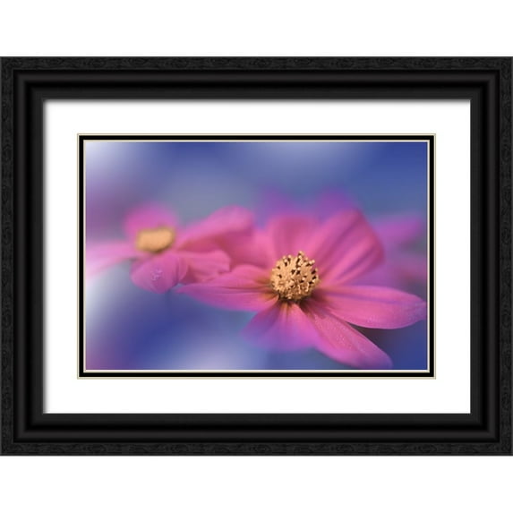 Nan, Juliana 14x11 Black Ornate Wood Framed with Double Matting Museum Art Print Titled - A Colorful World..