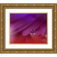 thumbnail image 1 of Nan, Juliana 14x12 Gold Ornate Wood Framed with Double Matting Museum Art Print Titled - Prism Of Life.., 1 of 4