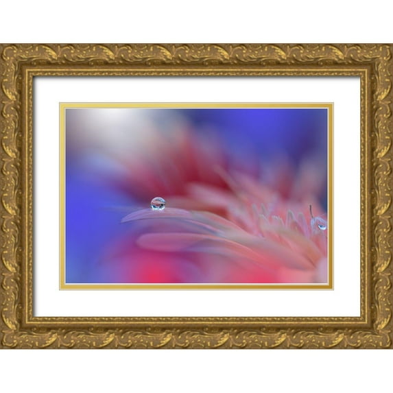 Nan, Juliana 18x13 Gold Ornate Wood Framed with Double Matting Museum Art Print Titled - Colorful Explosion...