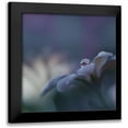 thumbnail image 1 of Nan, Juliana 20x20 Black Modern Framed Museum Art Print Titled - Invisible Soul..., 1 of 5