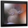 thumbnail image 1 of Nan, Juliana 21x20 Black Modern Framed Museum Art Print Titled - Immortal Love.., 1 of 5