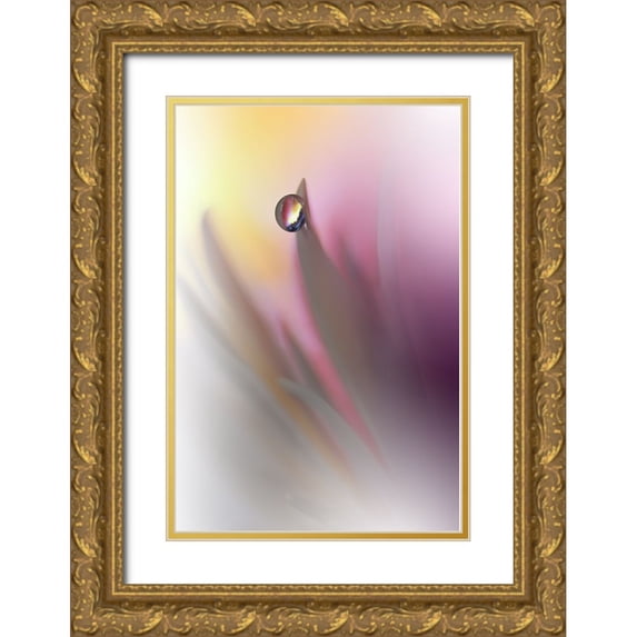 Nan, Juliana 23x32 Gold Ornate Wood Framed with Double Matting Museum Art Print Titled - Abstract Illusion..