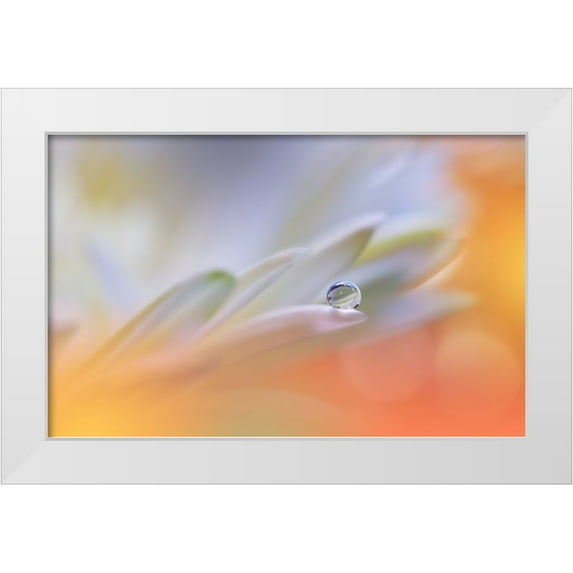 Nan, Juliana 32x22 White Modern Wood Framed Museum Art Print Titled - Little Wonders...II