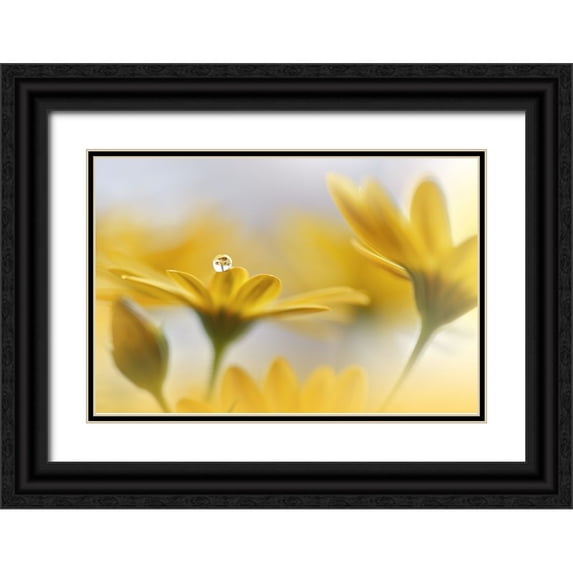 Nan, Juliana 32x23 Black Ornate Wood Framed with Double Matting Museum Art Print Titled - Summer Melody..