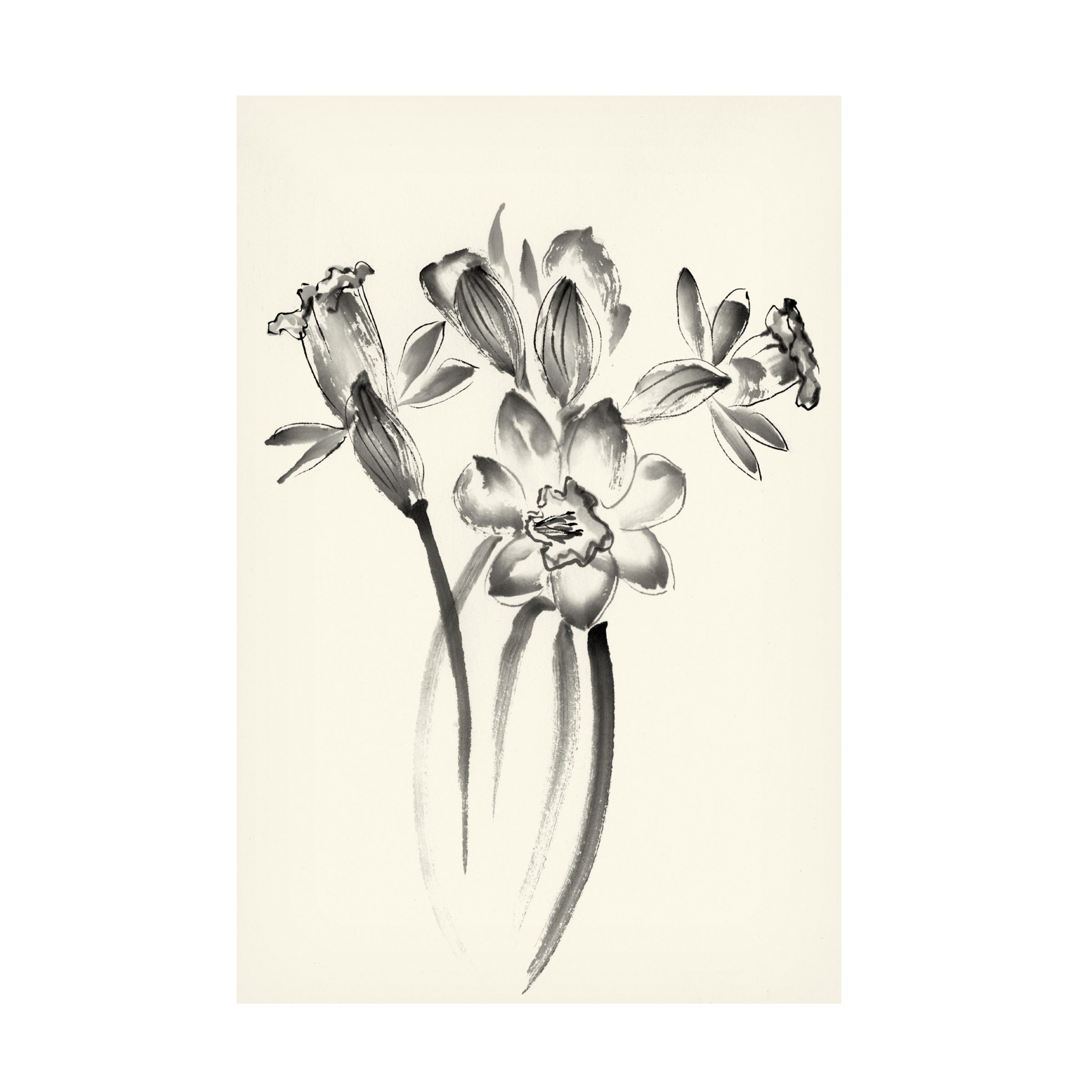 Nan Rae 'Ink Wash Floral I Daffodils' Canvas Art