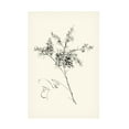 thumbnail image 1 of Nan Rae 'Ink Wash Floral VII Forsythia' Canvas Art, 1 of 1