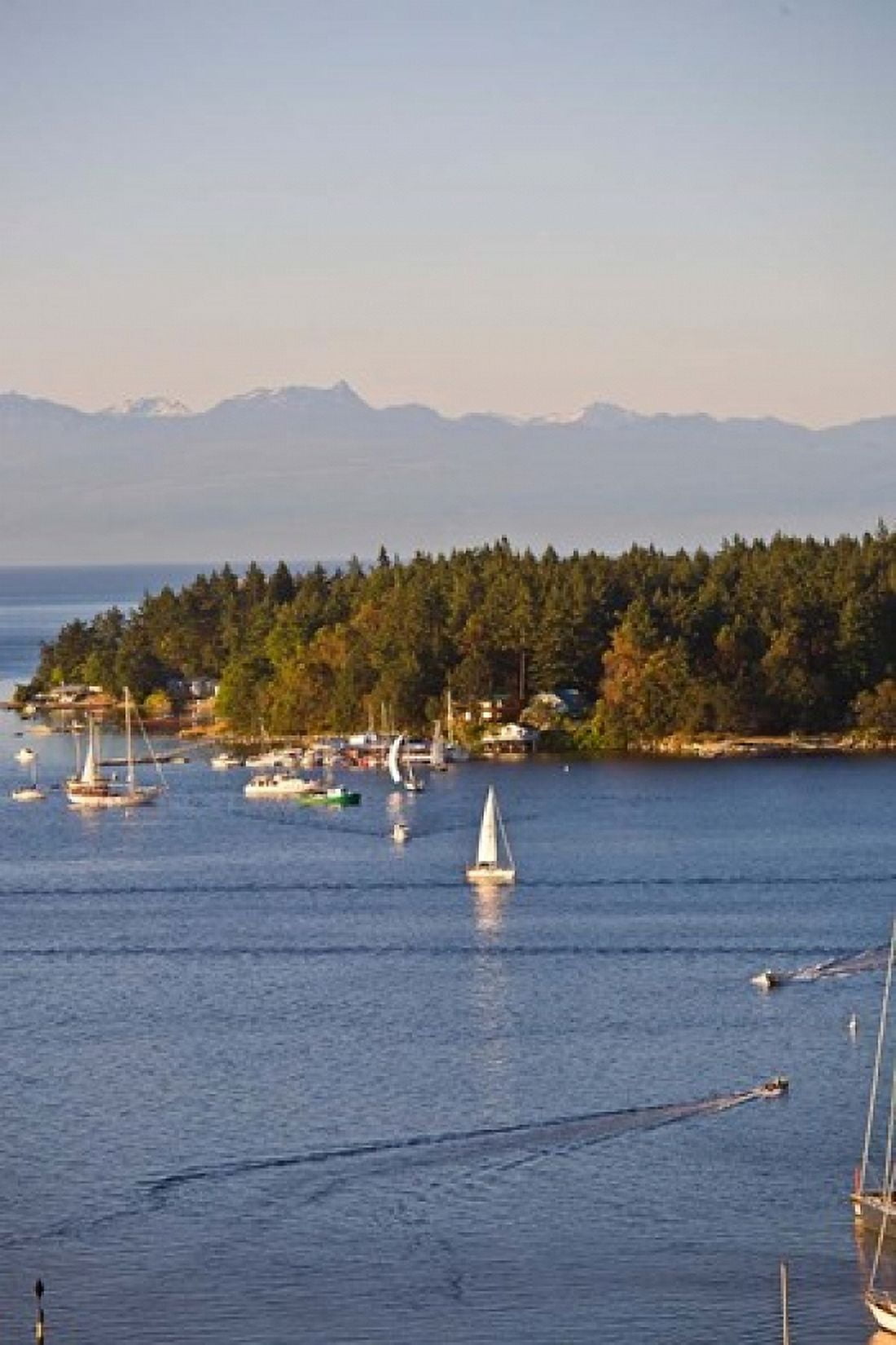 Nanaimo Vancouver Island British Columbia Canada Canvas Art - Douglas Peebles DanitaDelimont (17 x 26)