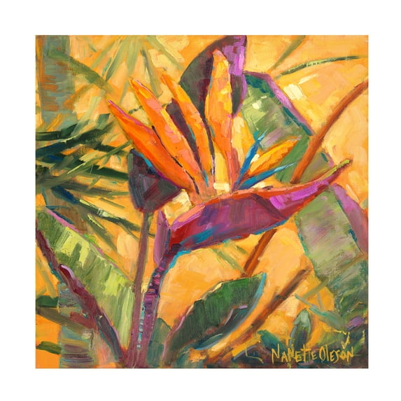 Trademark Fine Art Nanette Oleson Splash Of The Tropics I Canvas Wall Art - 35x35