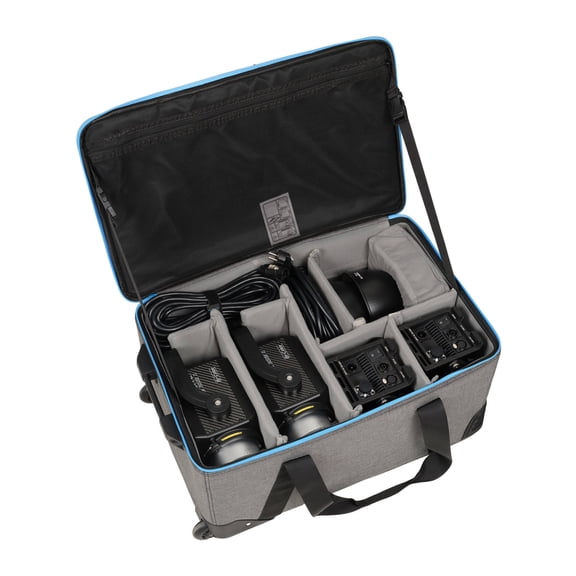 Nanlite Forza 300B II Bi-Color LED Monolight with Active Cooling Four Fan Modes (Travel 2-Light Kit)