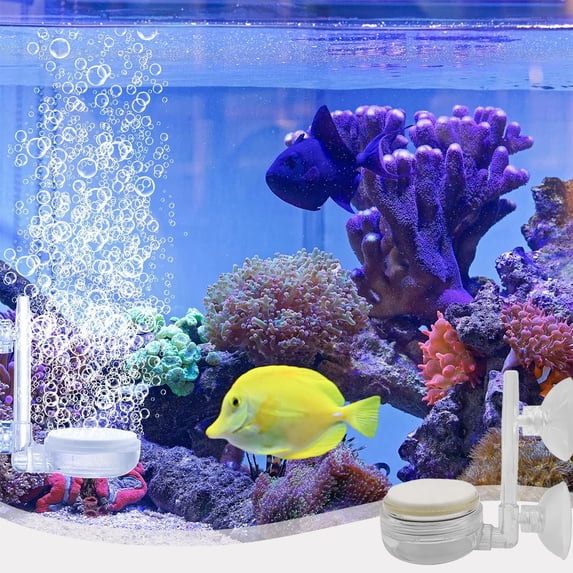 Nano Tank Air Pump Accessory,Round Gas Stone Disc Diffuser for Aquarium Oxygenation,Hydroponics Aerator,Decorative Fish Tank Airstone