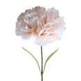 thumbnail image 1 of Nanoei Artificial Carnations Flowers, Mother’S Day Gift Bouquet for Home Decor, Realistic Silk Stems for Vase Arrangements, Wedding, Table Centerpiece, 1Pcs (Khaki), 1 of 9