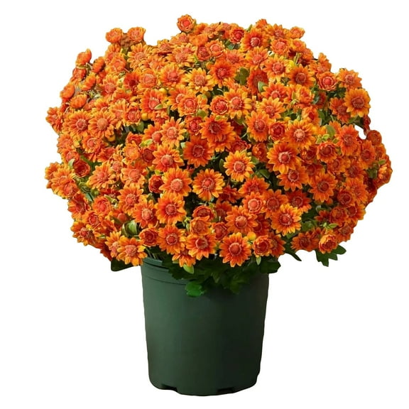 Nanoei Daisy Artificial Flowers for Outdoors Fall Autumn Decoration, Look Real Uv Resistant Faux Flowers Plants for Planter Front Door Home Indoor Porch Orange Red