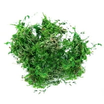 Nanoei Preserved Moss Mat, Natural Greenery for Potted Plant Fairy Garden Terrarium Craft Decor, 20g/50g/100g