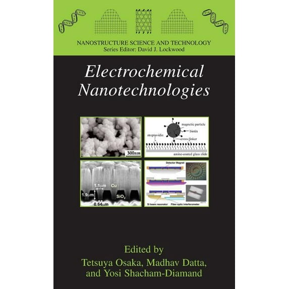 Nanostructure Science and Technology Electrochemical Nanotechnologies, (Hardcover)