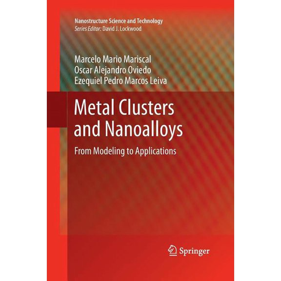 Nanostructure Science and Technology Metal Clusters and Nanoalloys: From Modeling to Applications, Book 0, (Paperback)