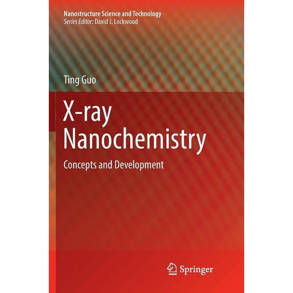 Nanostructure Science and Technology X-Ray Nanochemistry: Concepts and Development, (Paperback)