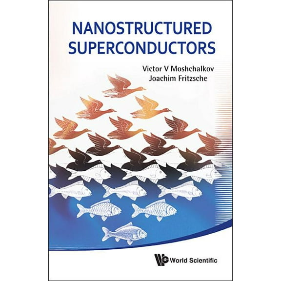 Nanostructured Superconductors, (Hardcover)