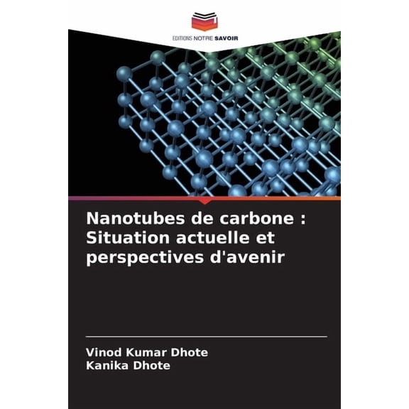 Nanotubes de carbone: Situation actuelle et perspectives d'avenir, (Paperback)