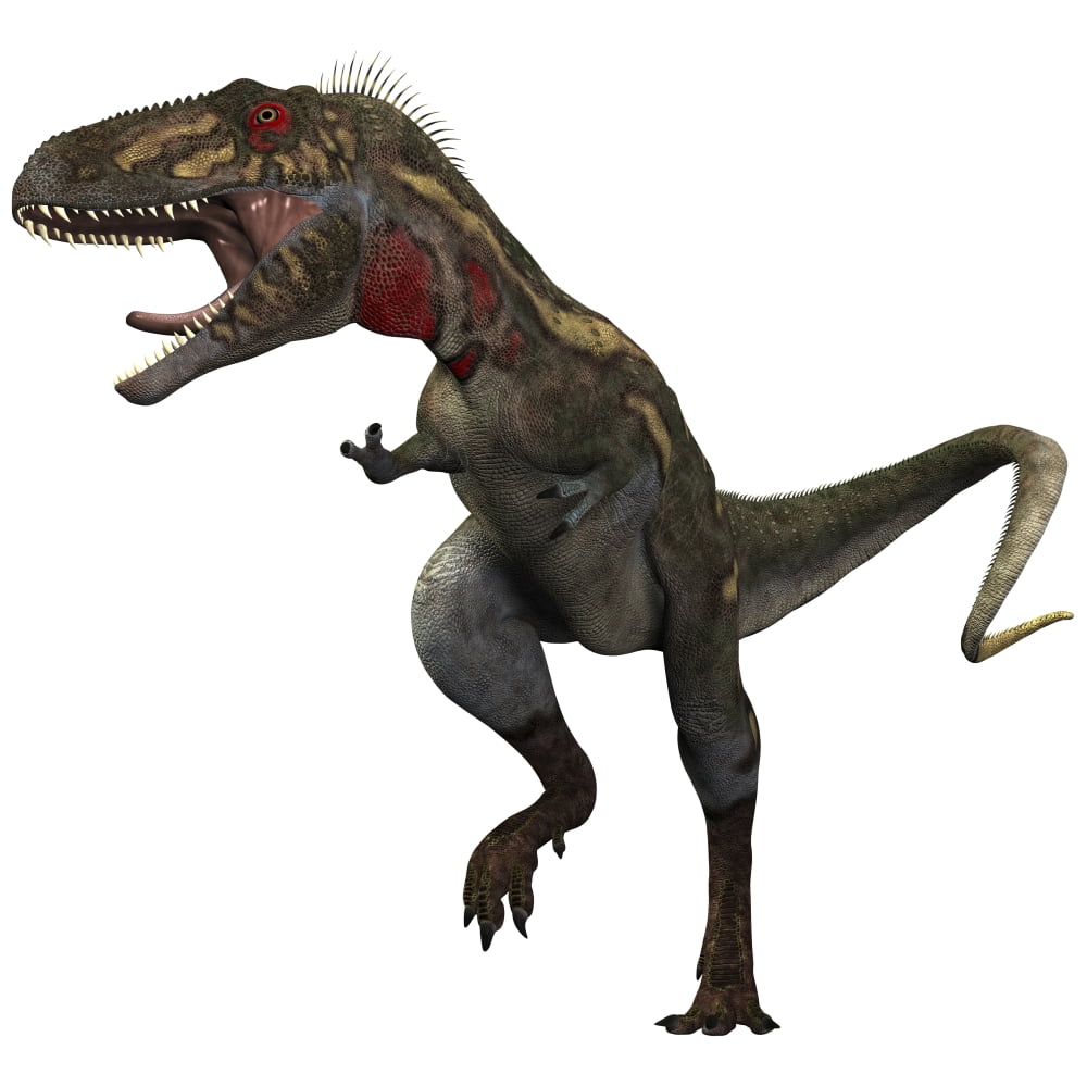 Nanotyrannus dinosaur Canvas Art - Corey FordStocktrek Images (29 x 29)