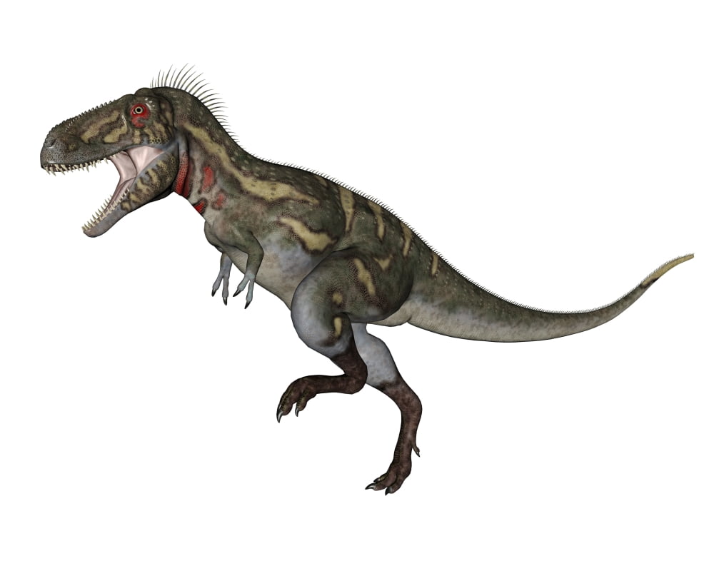 Nanotyrannus dinosaur Canvas Art - Elena DuvernayStocktrek Images (32 x 26)
