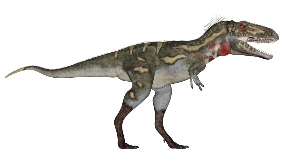 Nanotyrannus dinosaur Canvas Art - Elena DuvernayStocktrek Images (37 x 21)