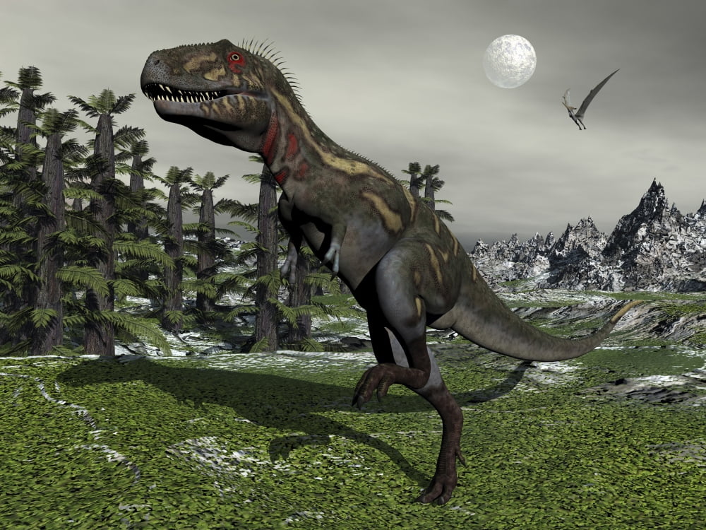 Nanotyrannus dinosaur amongst Tempskya trees at night Canvas Art - Elena DuvernayStocktrek Images (33 x 25)