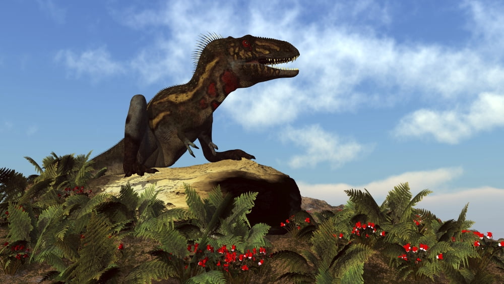 Nanotyrannus dinosaur resting on a rock Canvas Art - Elena DuvernayStocktrek Images (19 x 11)