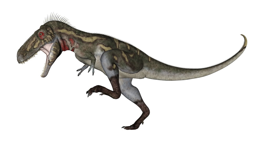 Nanotyrannus dinosaur roaring Canvas Art - Elena DuvernayStocktrek Images (37 x 21)