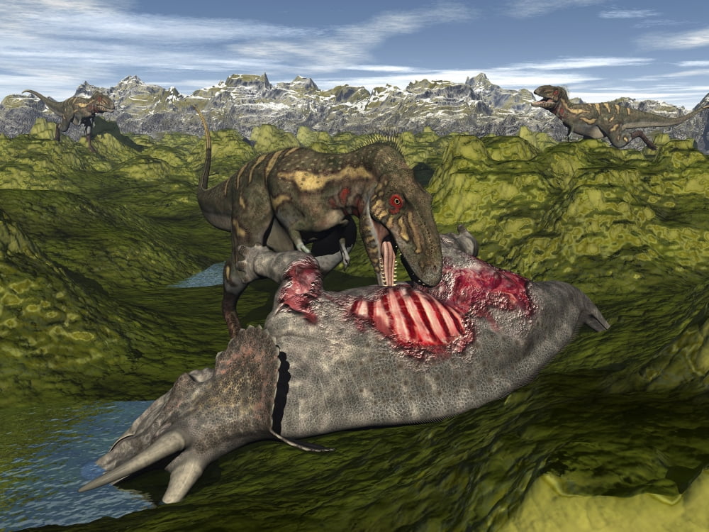 Nanotyrannus eating the carcass of a dead Triceratops Canvas Art - Elena DuvernayStocktrek Images (33 x 25)