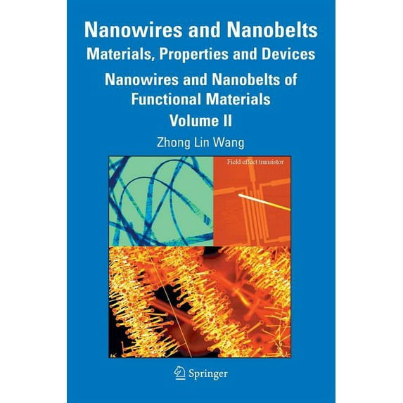 Nanowires and Nanobelts: Materials, Properties and Devices: Volume 2: Nanowires and Nanobelts of Functional Materials, (Paperback)