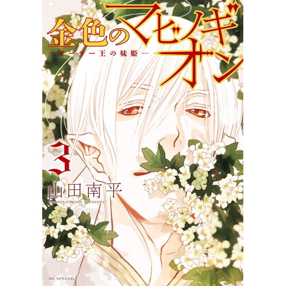 Nanpei Yamada The Golden Mabinogion: King Arthur`s Sister Princess 3 (Paperback)
