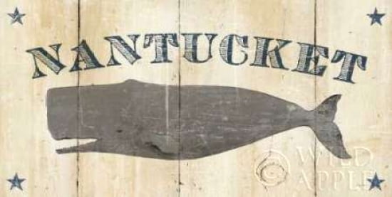 Nantucket Whale Canvas Art - Avery Tillmon (24 x 48)