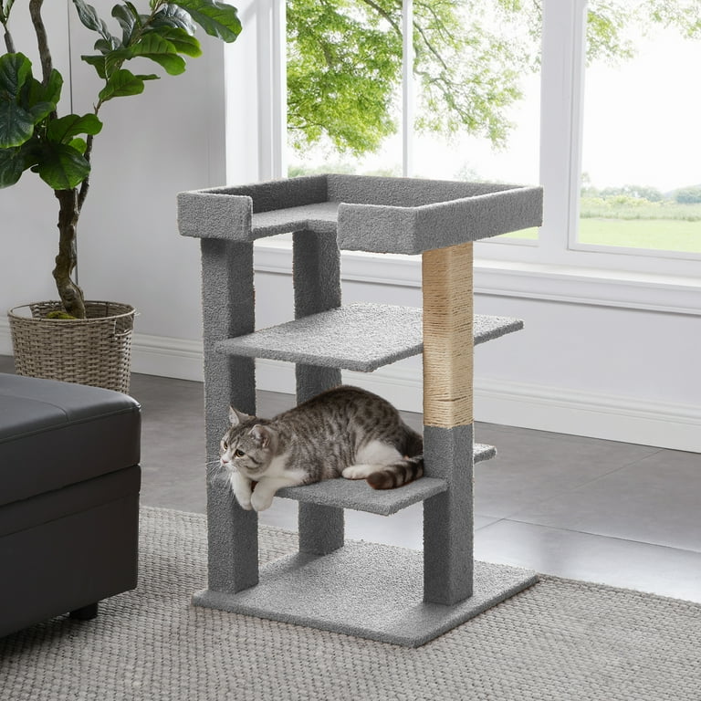 Cat toy house discount