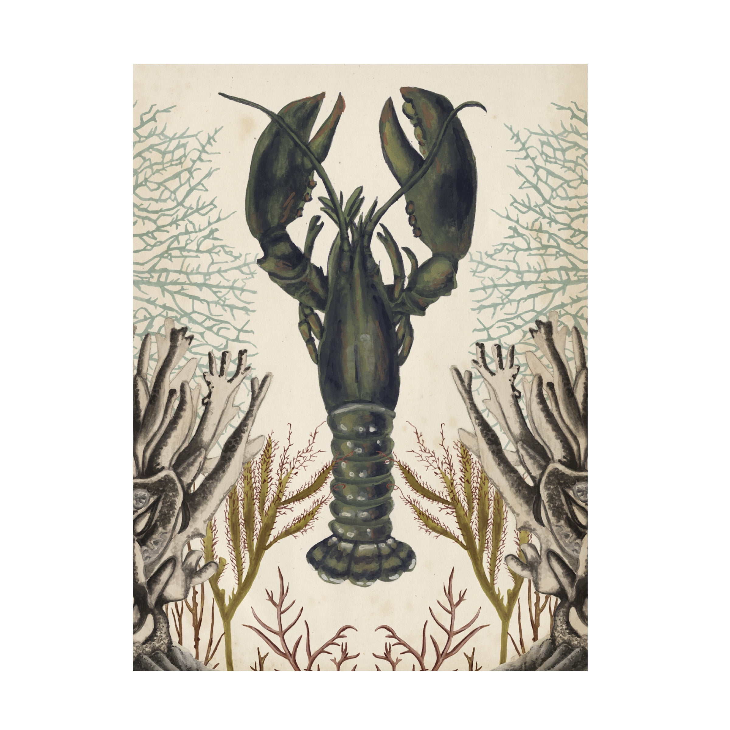 Naomi McCavitt 'Antiquarian Menagerie Lobster' Canvas Art