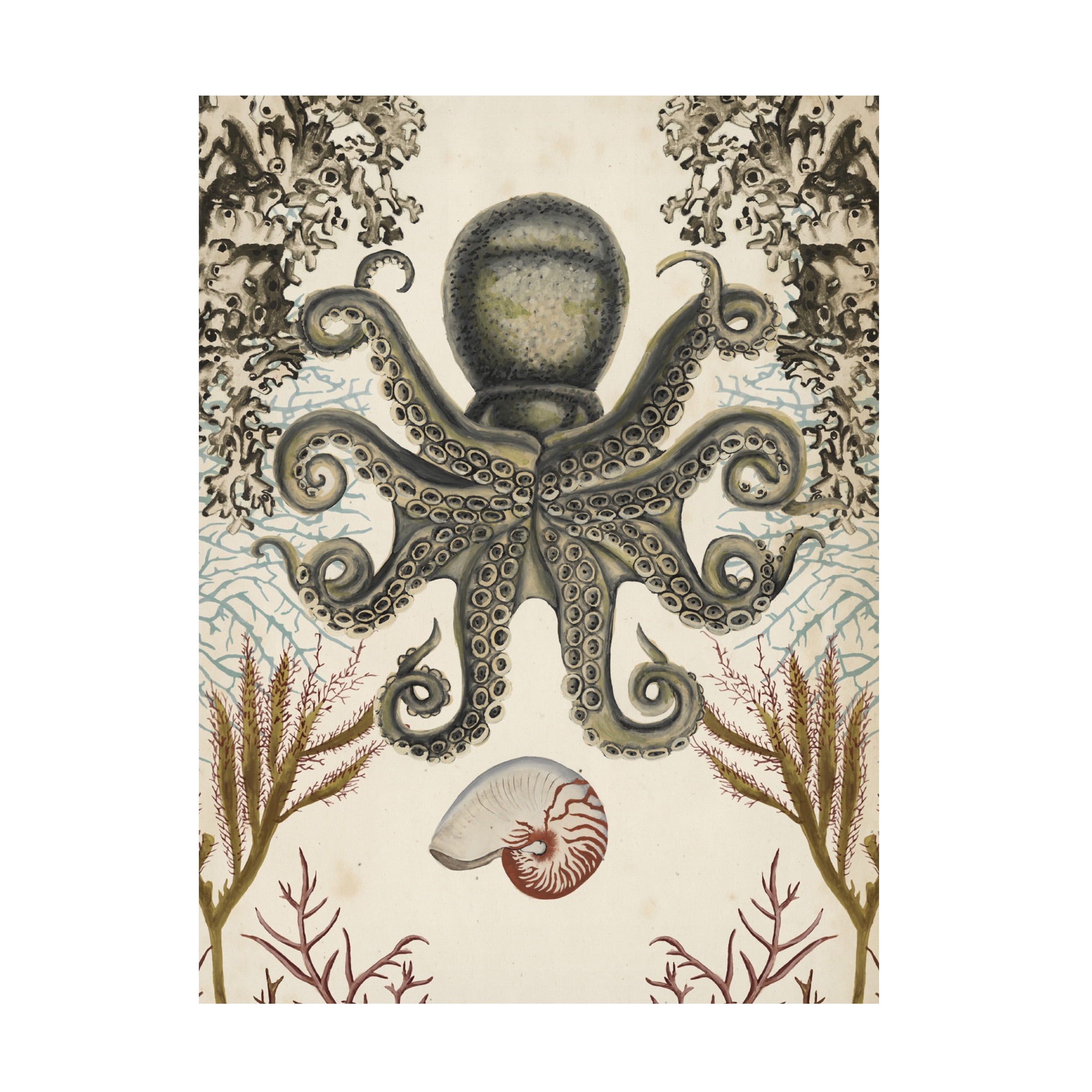 Naomi McCavitt 'Antiquarian Menagerie Octopus' Canvas Art
