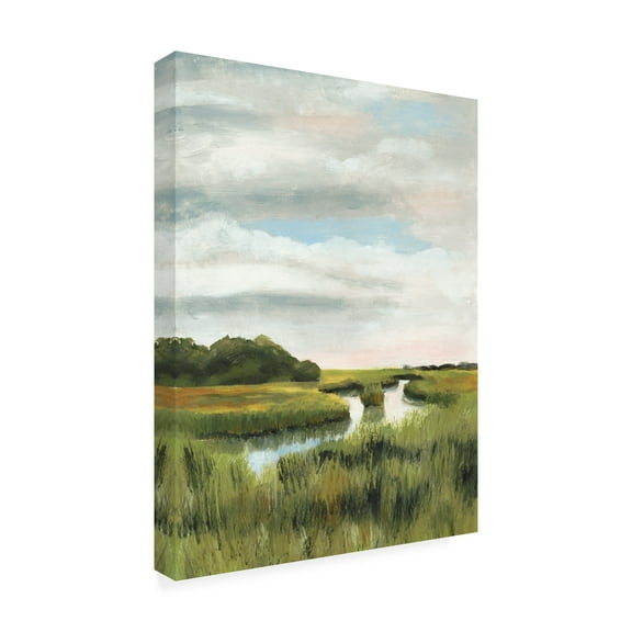 Trademark Fine Art Naomi McCavitt Marsh Landscapes I Canvas Wall Art - 24x32