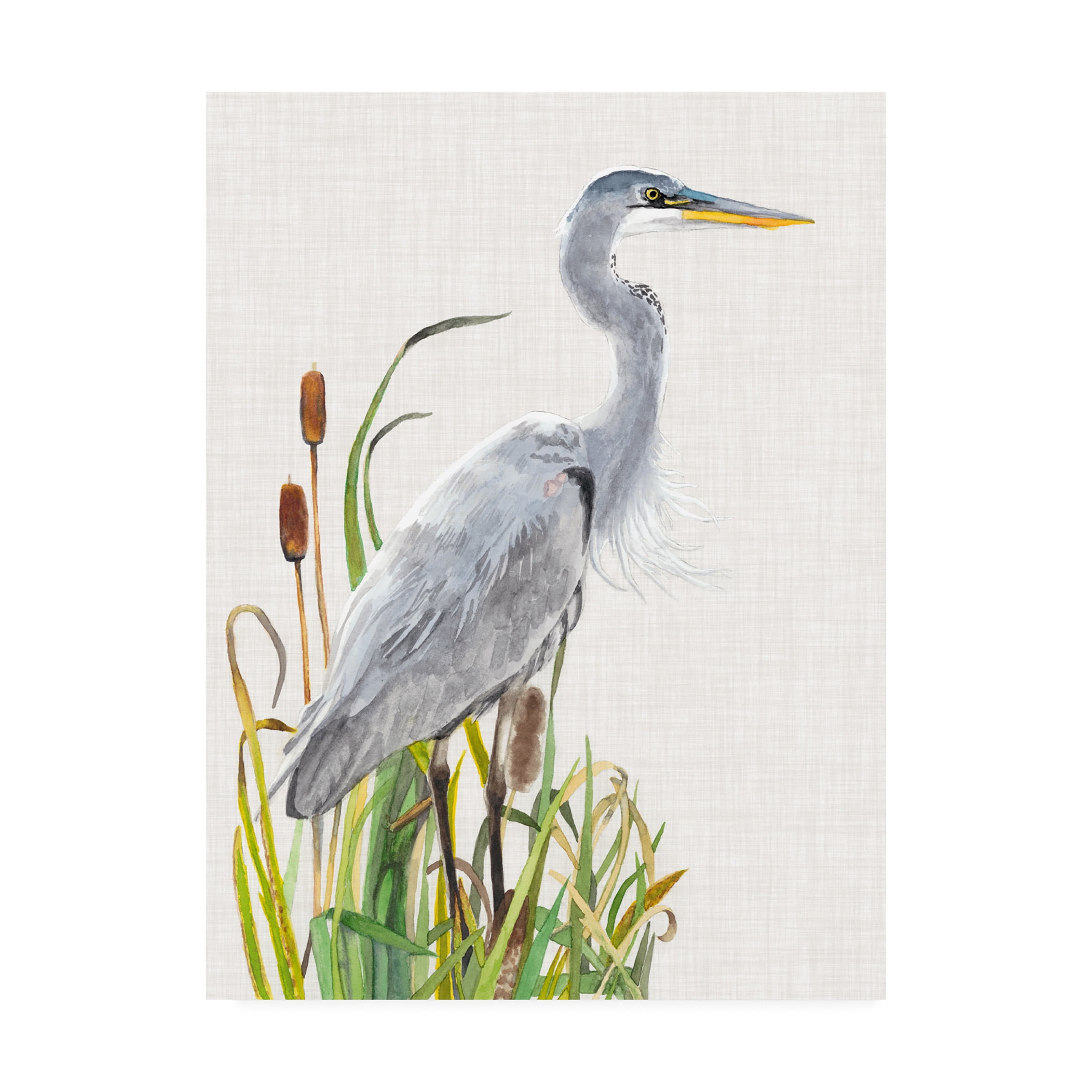 Large White Heron Canvas Art with Cattails