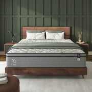 NapQueen Elite Series Machka 10" Queen Size Mattress, Hybrid Pocket Spring Coils, Bed In a Box, Adult