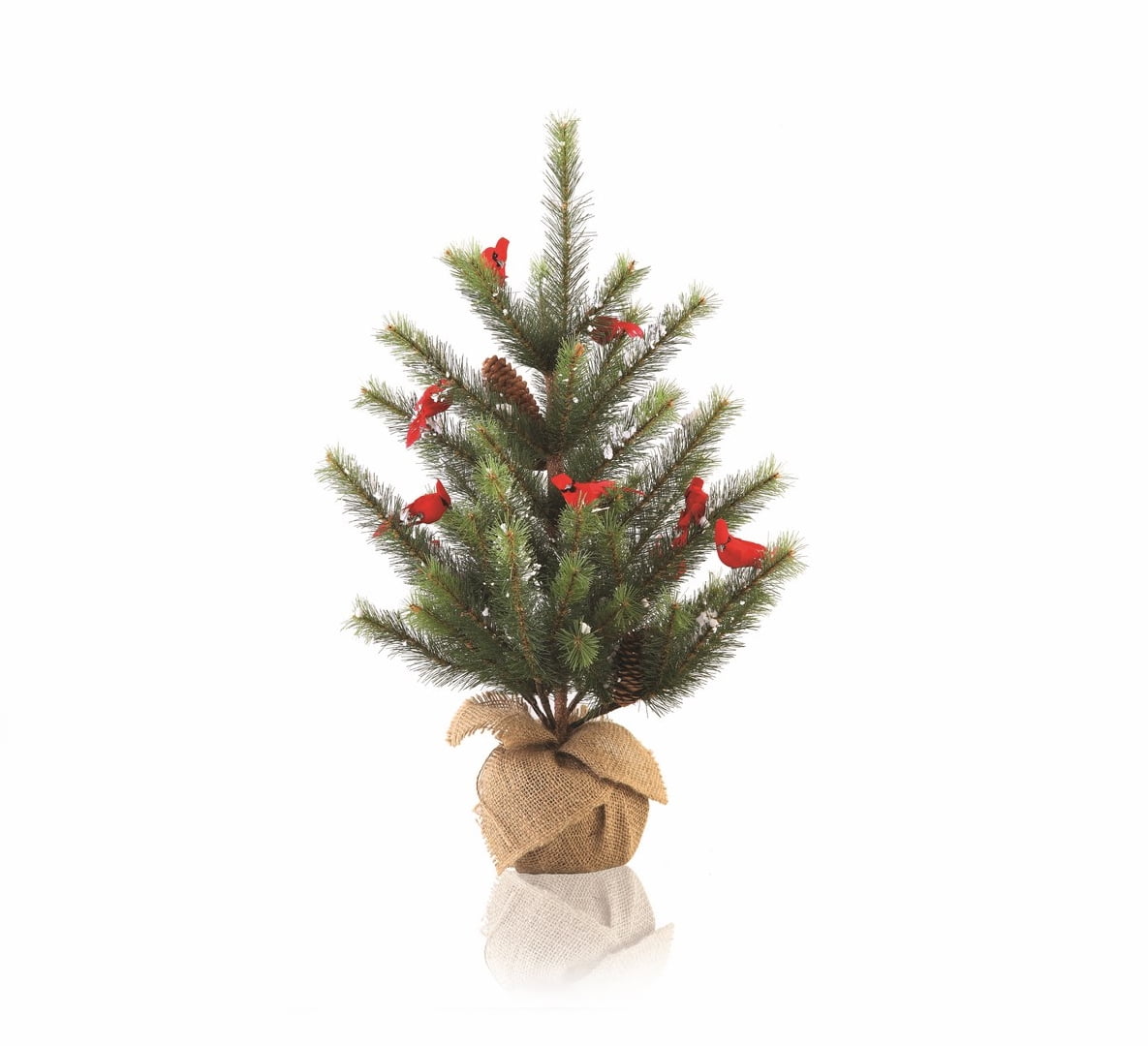 ノースアメリカンベア: Fluffy [A Christmas Carol] 7 Foot Tribeca Blue Spruce Artificial Christmas Tree Unlit