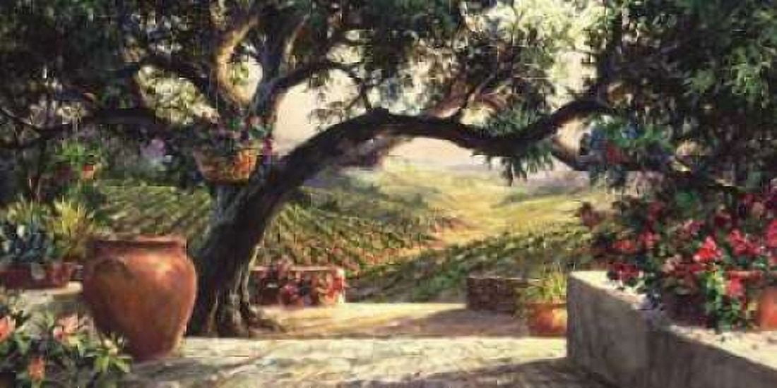 Napa Patio Canvas Art - Art Fronckowiak (24 x 48)