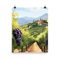 Grape Kitchen Napa Valley Vineyard Poster, California Wine Country, Rolling Hills ...