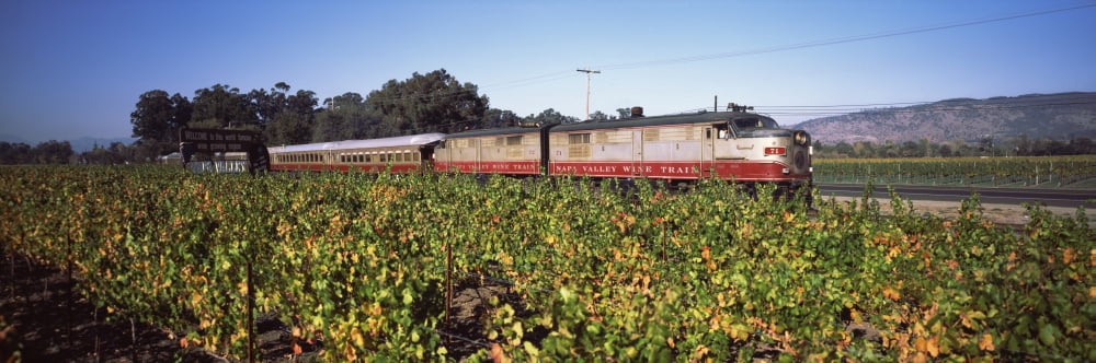 Napa Valley Wine Train passing through vineyards Napa Valley California USA Canvas Art - Panoramic Images (36 x 12)