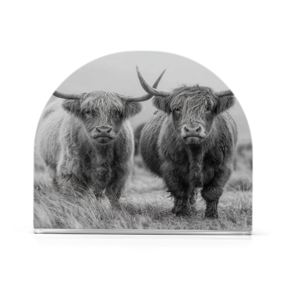 Napkin Holder for Table Kitchen Paper Tissue Organization Standing Paper Napkin Storage Grey Highland Cattle