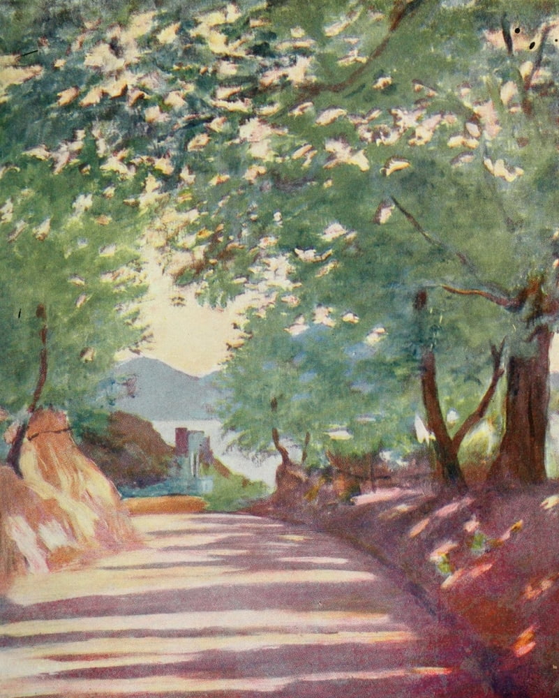 Naples 1904 Evening near Massa Sorrento Canvas Art - Augustine Fitzgerald (18 x 24)