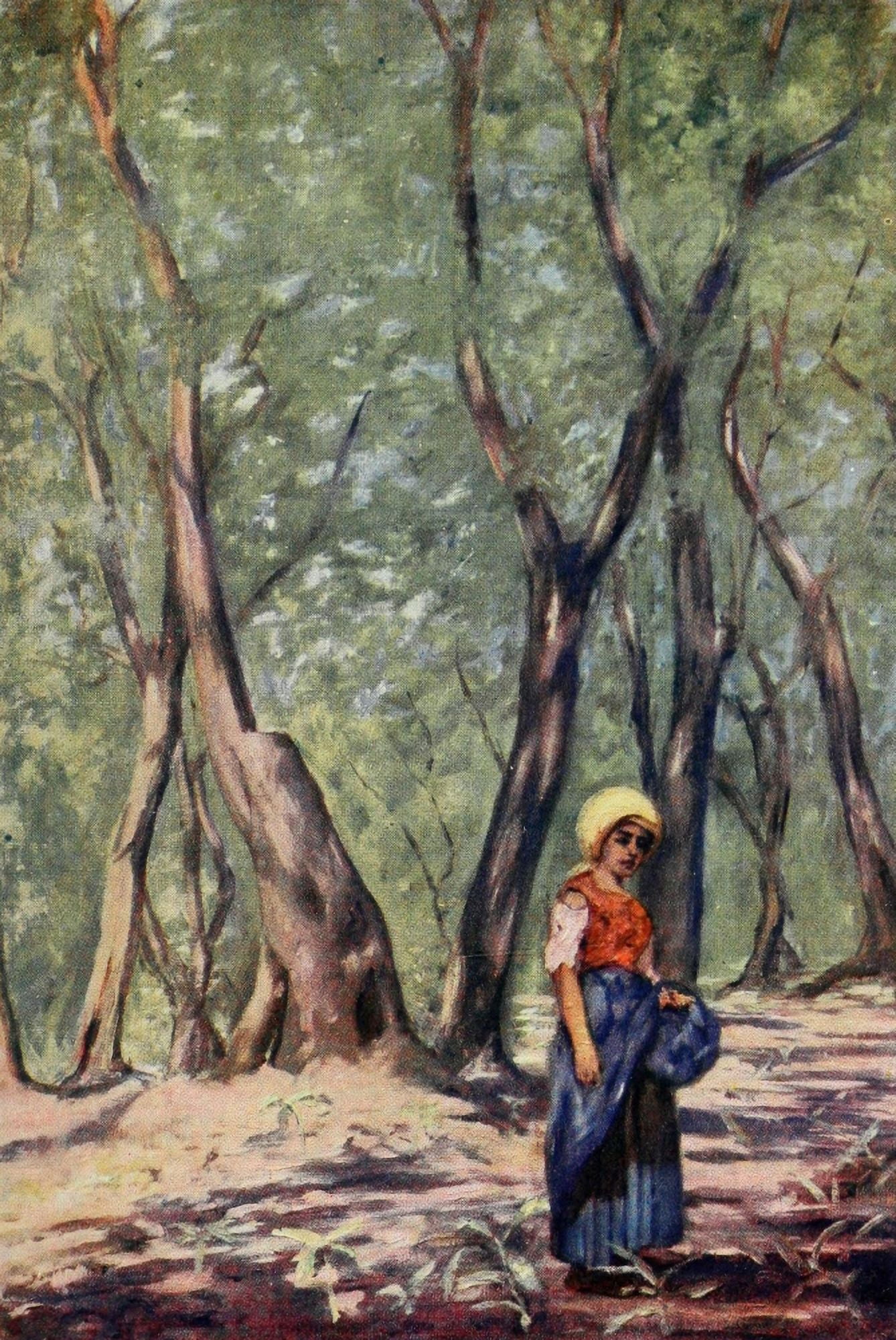 Naples 1904 Olive Grove near Massa Canvas Art - Augustine Fitzgerald (18 x 24)