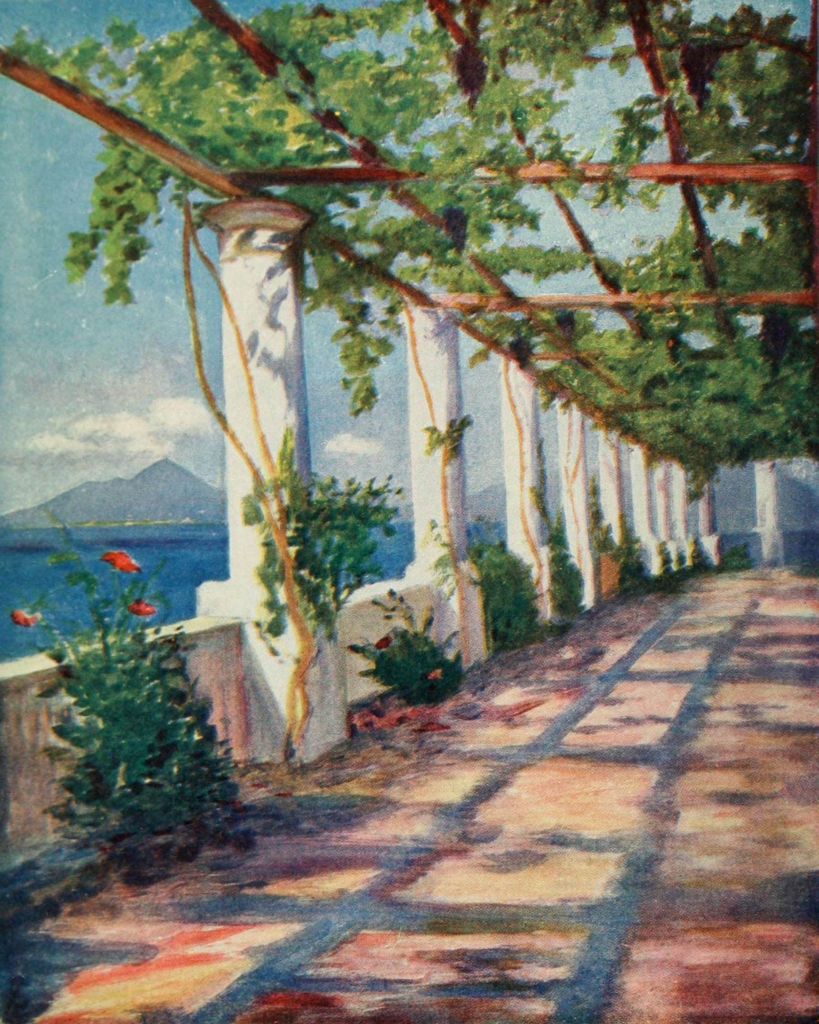 Naples 1904 Pergola facing Vesuvius Canvas Art - Augustine Fitzgerald (18 x 24)