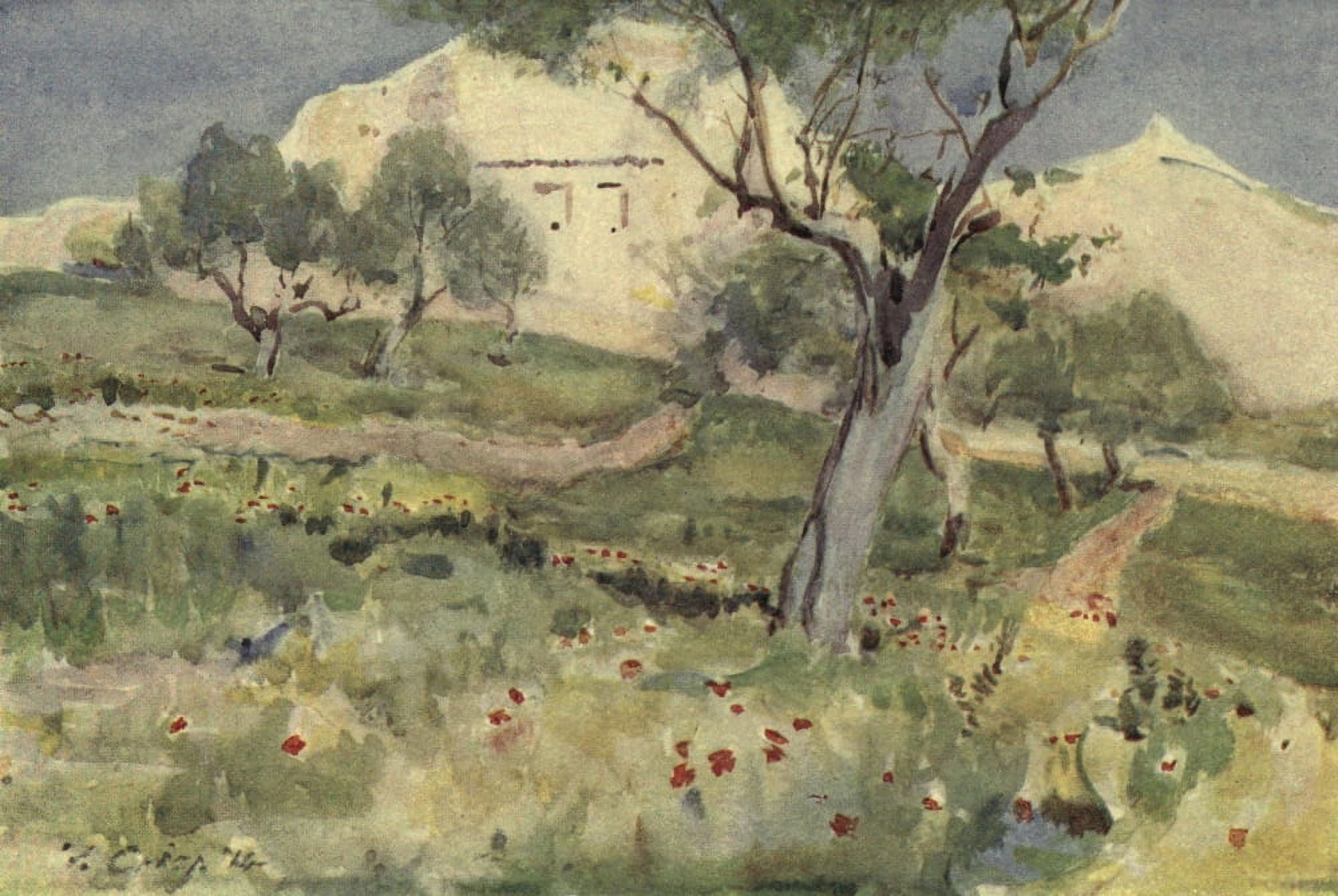 Naples & Southern Italy 1915 Apulian Olive Garden Canvas Art - Frank Crisp (24 x 36)